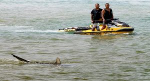 Man Missing After Reported Shark Attack Off Israel’s Coast