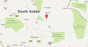 South Sudan Opposition Under Fresh Govt Military Attack