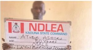 NDLEA Nabbed  80-Year-Old Ex-Convict With ‘2.3kg Of Illicit Drugs’ In Kaduna