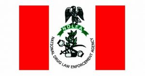 NDLEA Warns: Drug Use Rampant Among Undergraduates