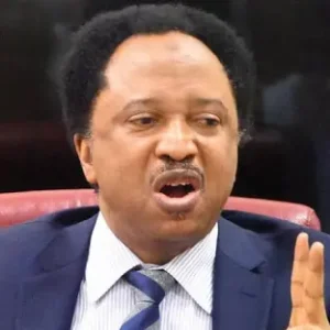Opposition Driven by Personal Grievances, Not Public Interest – Sani