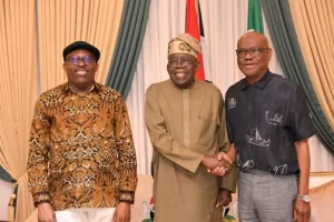 Wike, Fubara Pledge Unity Following Meeting with Tinubu