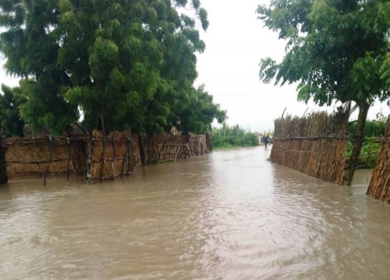 Bodies of Two Children Recovered from Drain Following Torrential Rainfall in Niger State