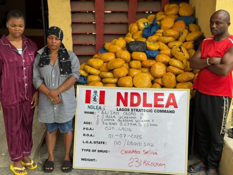 NDLEA Intercepts Cocaine in Lipsticks, $17.7m in Travelers’ Cheques Hidden in Children’s Books, Dismantles Drug Rings Across Nigeria