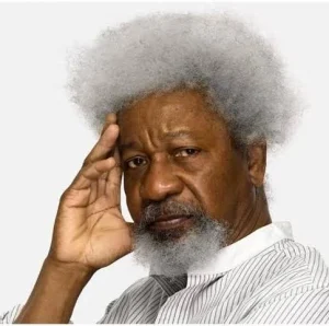 Soyinka:Why I’m Yet To Assess Tinubu’s Govt